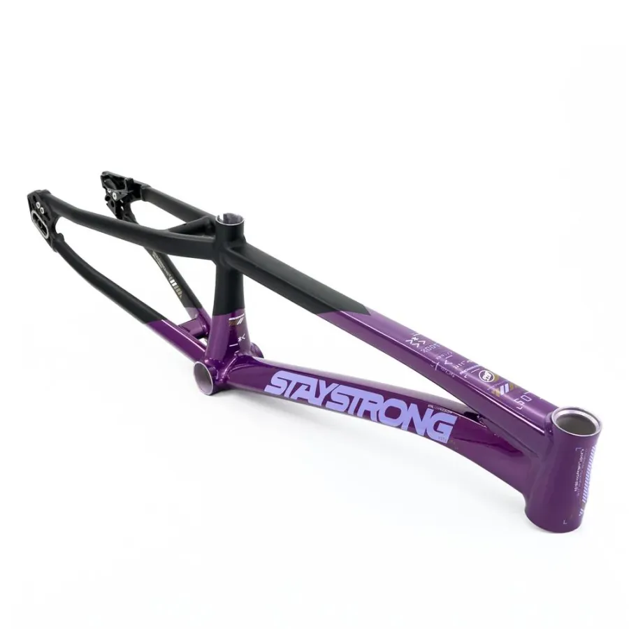 Stay Strong V5 Disc Only Frame 2025 Purple/Black